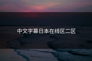 中文字幕日本在线区二区