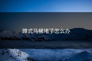 蹲式马桶堵了怎么办