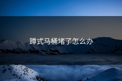 蹲式马桶堵了怎么办