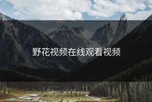 野花视频在线观看视频
